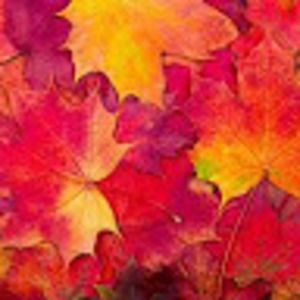 Meet your Posher, Autymn